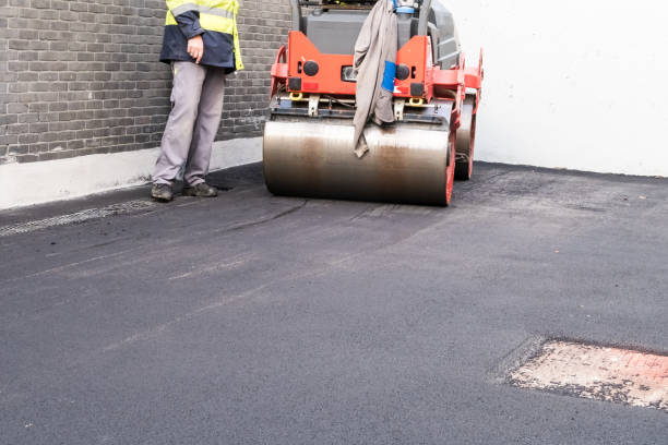 Best Driveway Drainage Solutions  in Lauderhill, FL